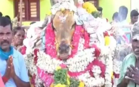 ஜல்லிக்கட்டு காளை மரணம்; இறுதி ஊர்வலத்தில் 3000 பேர் பங்கேற்பு